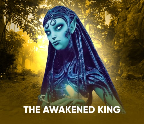 The Awakened King Campaign